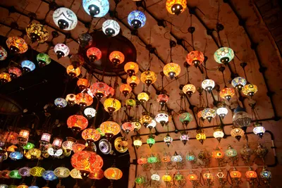 DSC_6090 (Large).JPG